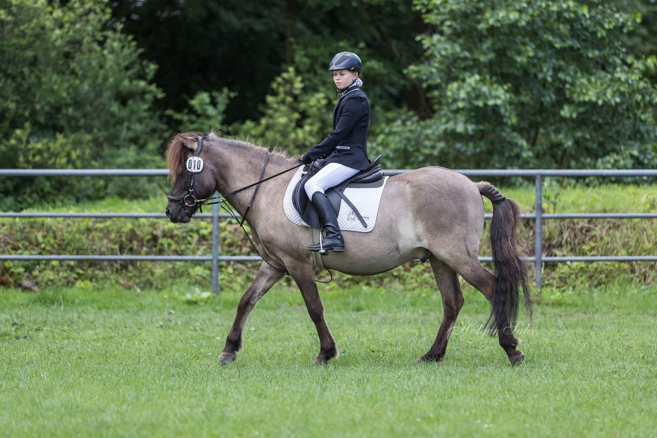 Bild 4 - Pony Akademie Turnier